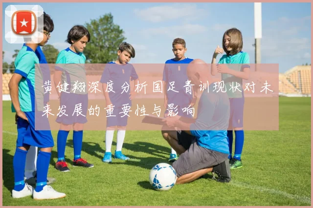 黄健翔深度分析国足青训现状对未来发展的重要性与影响