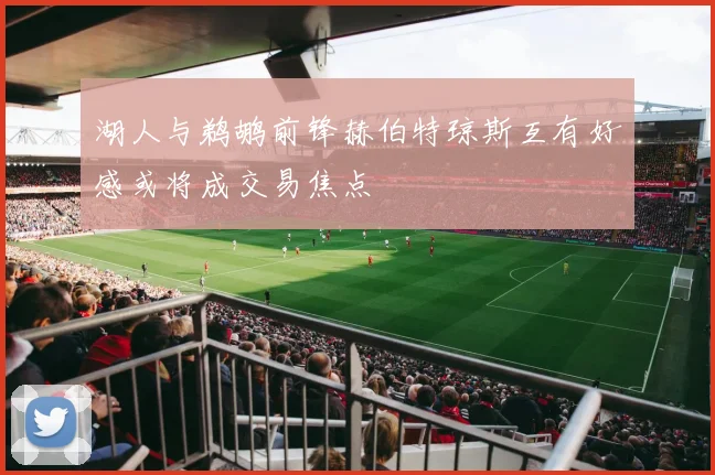湖人与鹈鹕前锋赫伯特琼斯互有好感或将成交易焦点