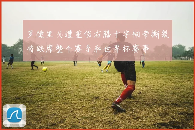 罗德里戈遭重伤右膝十字韧带撕裂将缺席整个赛季和世界杯赛事
