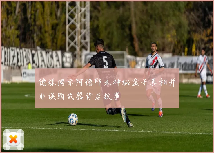 德媒揭示阿德耶米神秘盒子真相并非误购武器背后故事