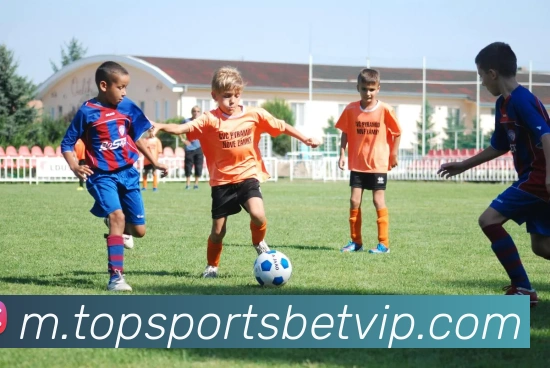 奖项图2